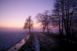 Nach Sonnenuntergang bei Frost und Nebel in den Niederungen bei Linau.
